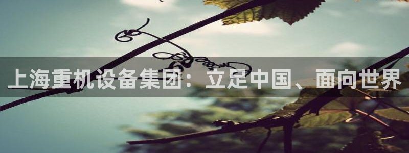 威九国际演员表