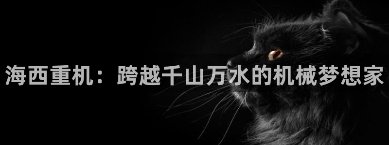 威九国际78mB