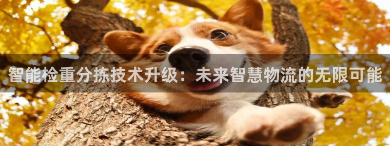 威九国际黑钱