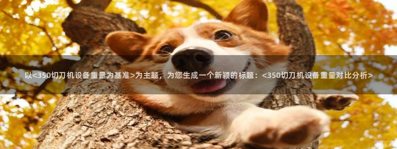 威九国际免费网络站