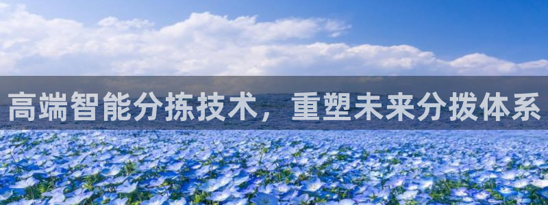 威九国际体育