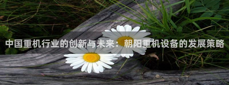 威九国际app无法登陆怎么回事：中国重机行业的创新与未来：朝