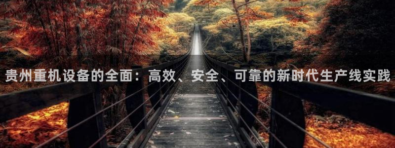 威九国际78mB官网版：贵州重机设备的全面：高效、安全、可靠