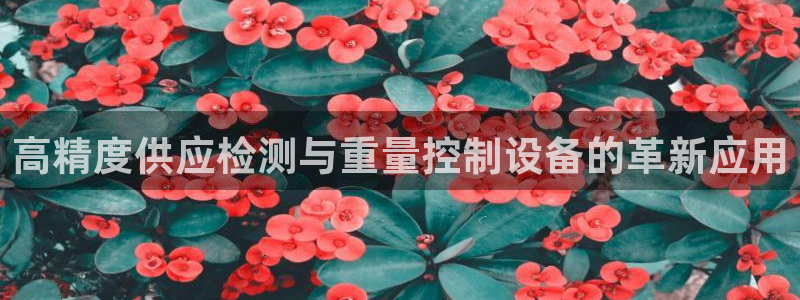 威九国际黑钱：高精度供应检测与重量控制设备的革新应用