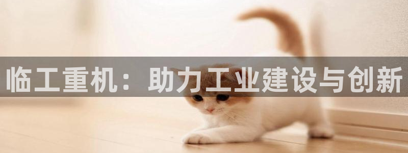 威九国际78mapp：临工重机：助力工业建设与创新