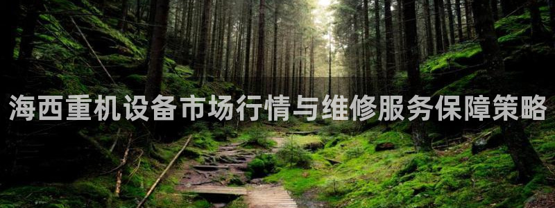 威九国际官网在线进入网站查询网址：海西重机设备市场行情与维修