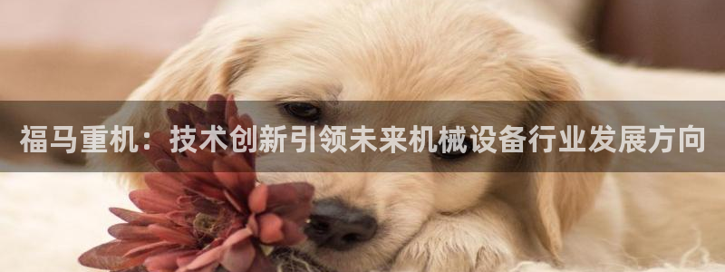 威九国际空降服务女演员叫什么名字：福马重机：技术创新引领未来