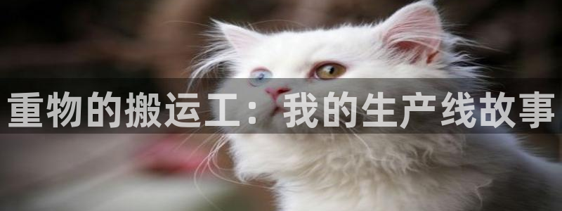 78mapp威九国际媒体：重物的搬运工：我的生产线故事