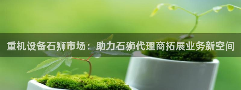 威九国际人民网：重机设备石狮市场：助力石狮代理商拓展业务新空