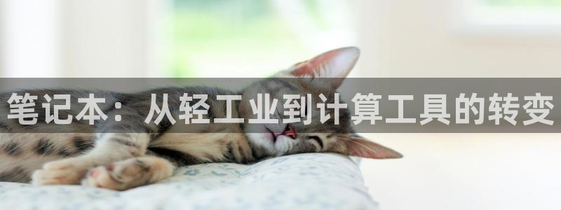 威九国际电影HD：笔记本：从轻工业到计算工具的转变