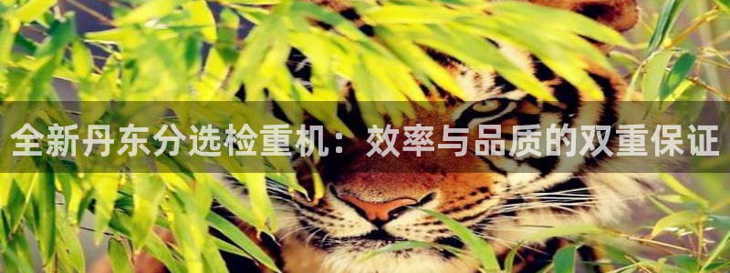 威九国际女：全新丹东分选检重机：效率与品质的双重保证