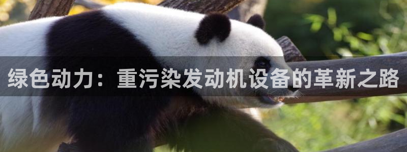 威九国际v96.81t：绿色动力：重污染发动机设备的革新之路