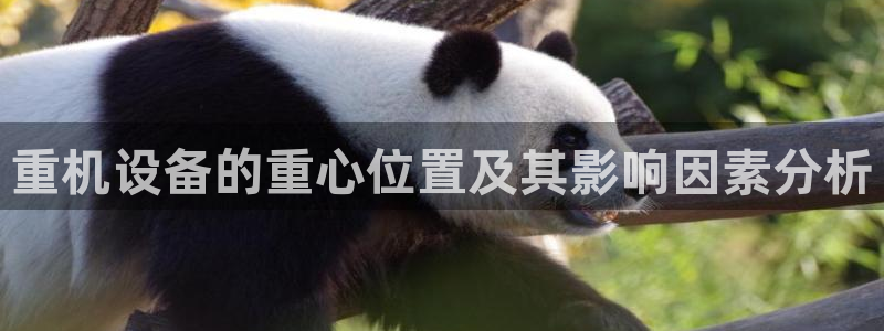 威九国际的演员：重机设备的重心位置及其影响因素分析