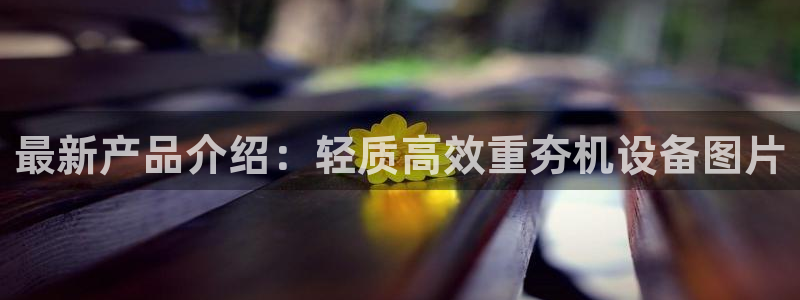 威九国际正规吗：最新产品介绍：轻质高效重夯机设备图片
