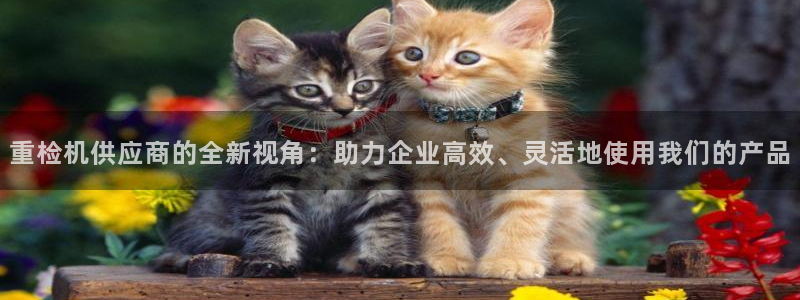 威九国际H：重检机供应商的全新视角：助力企业高效、灵活地使用