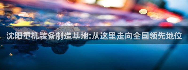 威九国际网站入口地址查询：沈阳重机装备制造基地:从这里走向全