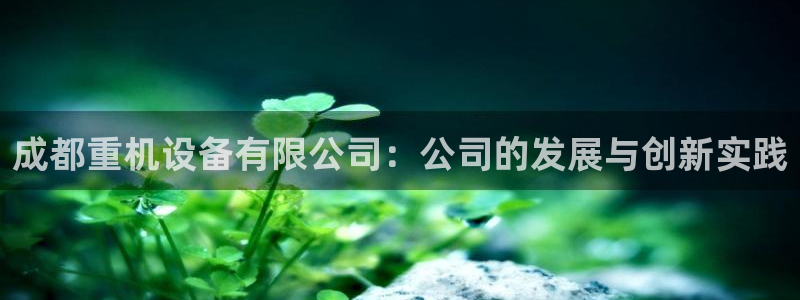 威九国际网站链接：成都重机设备有限公司：公司的发展与创新实践