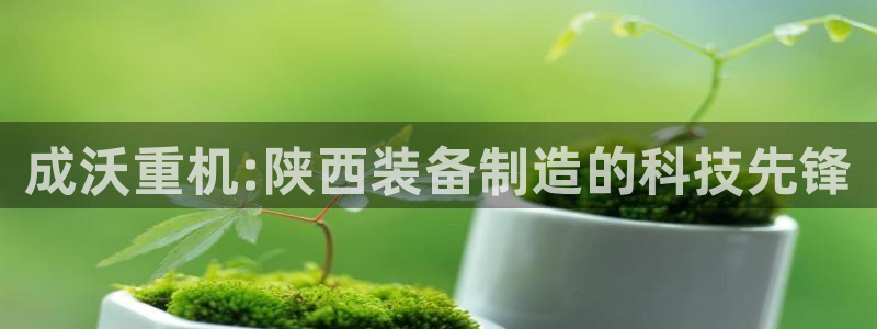 威九国际网站入囗：成沃重机:陕西装备制造的科技先锋
