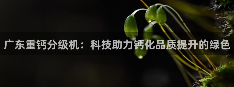 78mapp威九国际成全视频