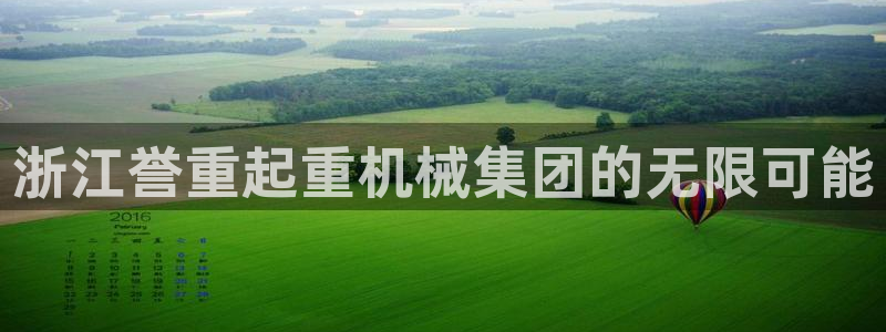 威九国际精：浙江誉重起重机械集团的无限可能
