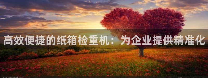威九国际能提现吗：高效便捷的纸箱检重机：为企业提供精准化
