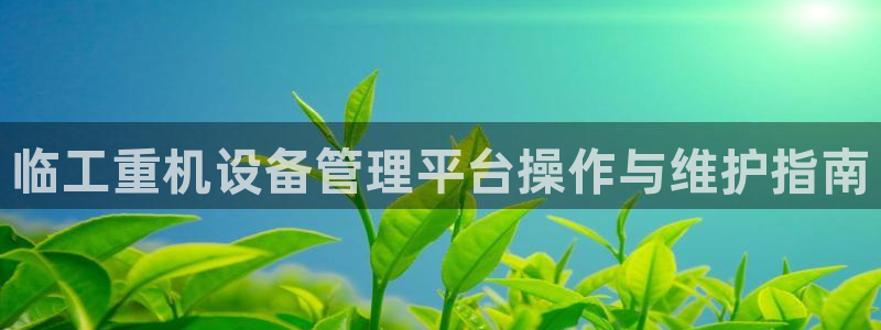威九国际女艺人：临工重机设备管理平台操作与维护指南