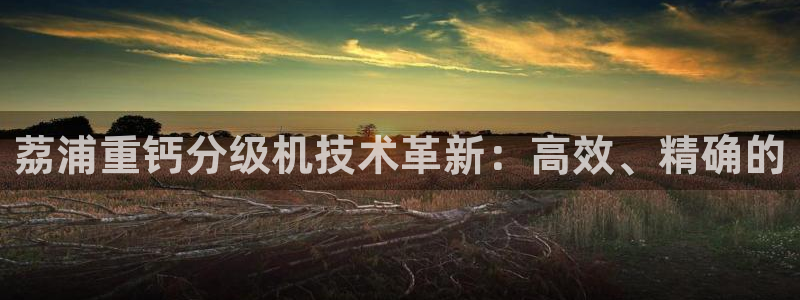 威九国际官方入口官网：荔浦重钙分级机技术革新：高效、精确的