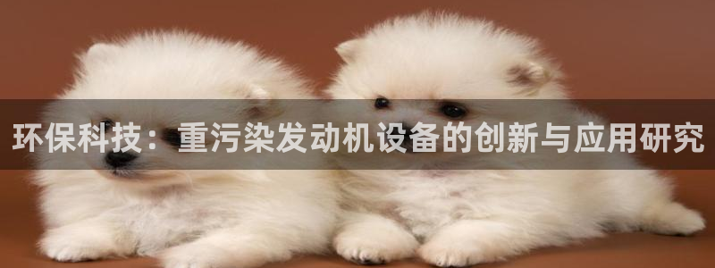 威九国际客服电话号码是多少