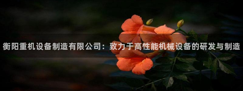 保定威九网络科技有限公司