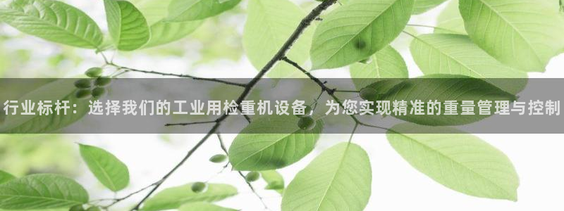威九国际体育