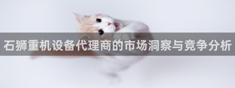 威九国际男主