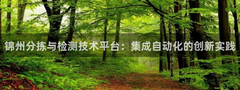 威九国际MV