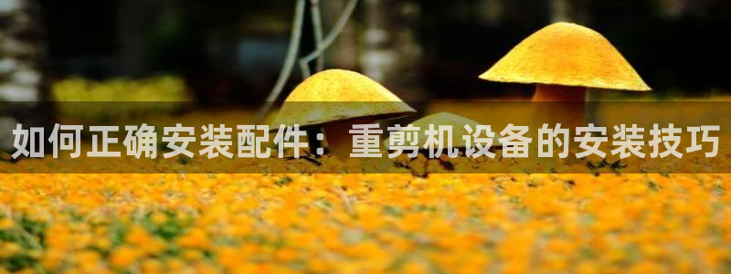 威九国际特殊奖励我的奖励竟然是嫂子