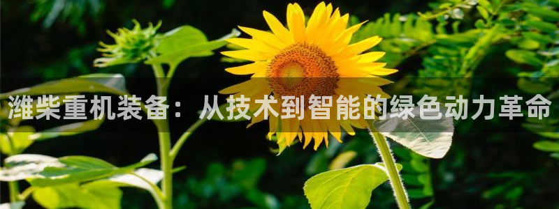 威九国际APP大全：潍柴重机装备：从技术到智能的绿色动力革命