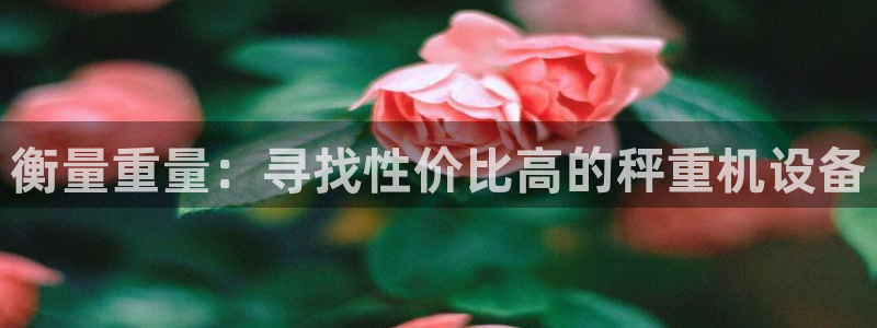 威九国际网站传媒招聘：衡量重量：寻找性价比高的秤重机设备