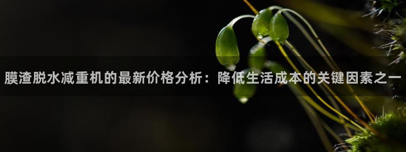78mapp威九国际官网：膜渣脱水减重机的最新价格分析：降低