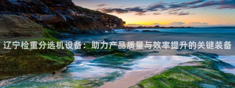 威九国际66m66m电影：辽宁检重分选机设备：助力产品质量与