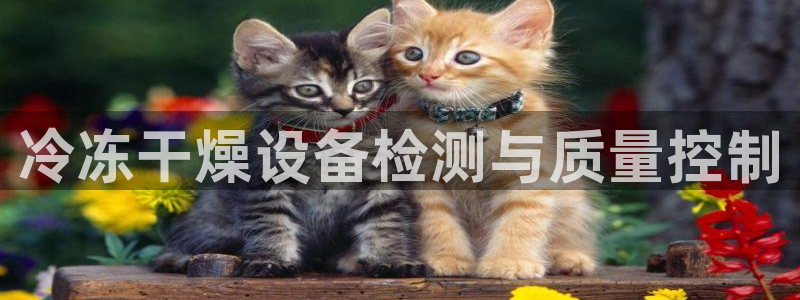 威九国际网站进入公司不断创新：冷冻干燥设备检测与质量控制