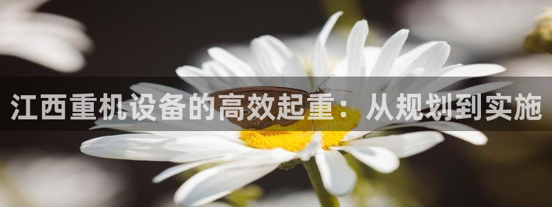 威九国际入口一：江西重机设备的高效起重：从规划到实施