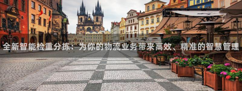 威九国际78m-MBA智库百科：全新智能检重分拣：为你的物流