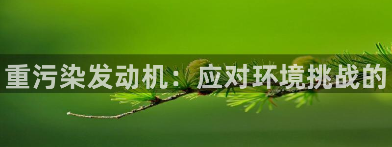 威九国际的金融服务：重污染发动机：应对环境挑战的