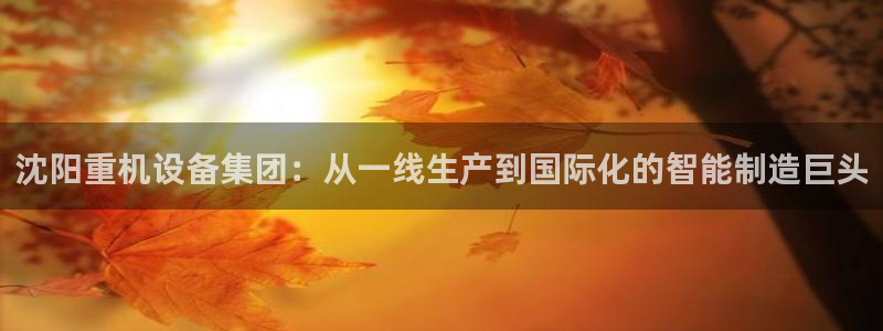 威九国际网站是多少：沈阳重机设备集团：从一线生产到国际化的智