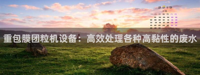 威九国际v96bet官网版：重包膜团粒机设备：高效处理各种高