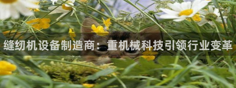 威九国际取款机怎么取：缝纫机设备制造商：重机械科技引领行业变