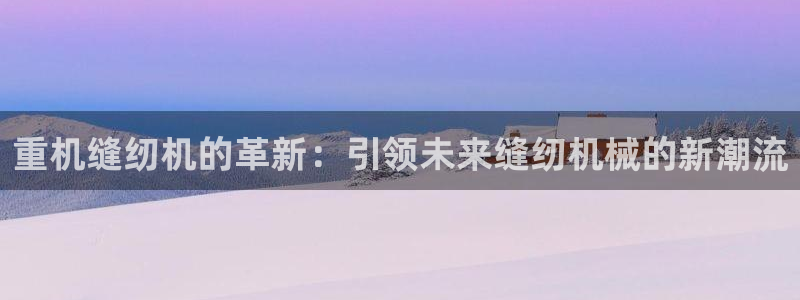 威九国际ppt官网