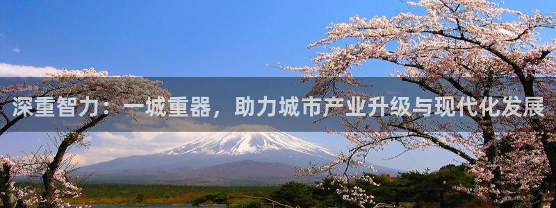 威九国际官网登录入口网址：深重智力：一城重器，助力城市产业升