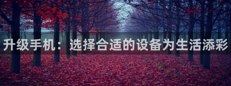 威九国际能提现吗：升级手机：选择合适的设备为生活添彩