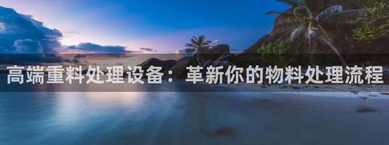 威九国际电子有限公司：高端重料处理设备：革新你的物料处理流程