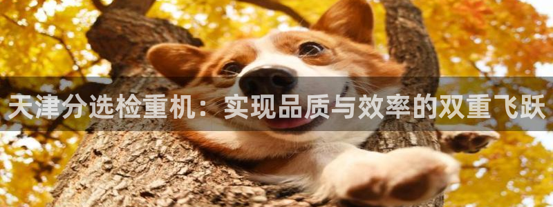 威九国际vA9618