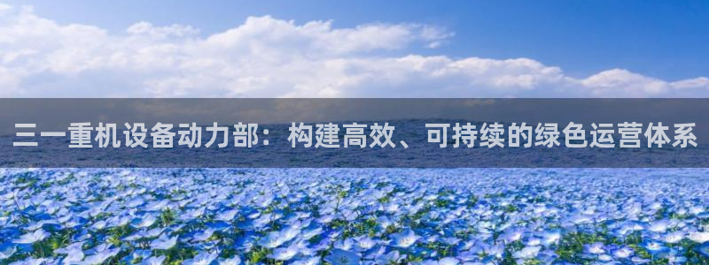 威九国际网站在哪里